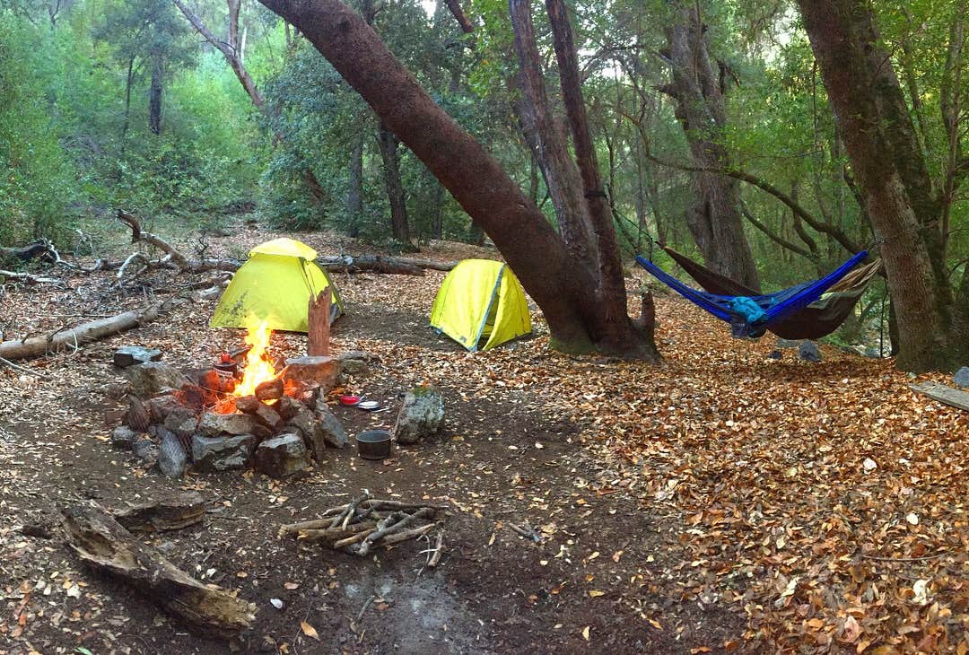 Wutang P.'s photo of tent camping at Goat Campground near Fort Hunter Liggett, CA