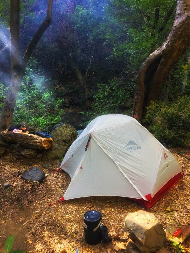 Wutang P.'s photo of tent camping at Estrella Campground near Fort Hunter Liggett, CA