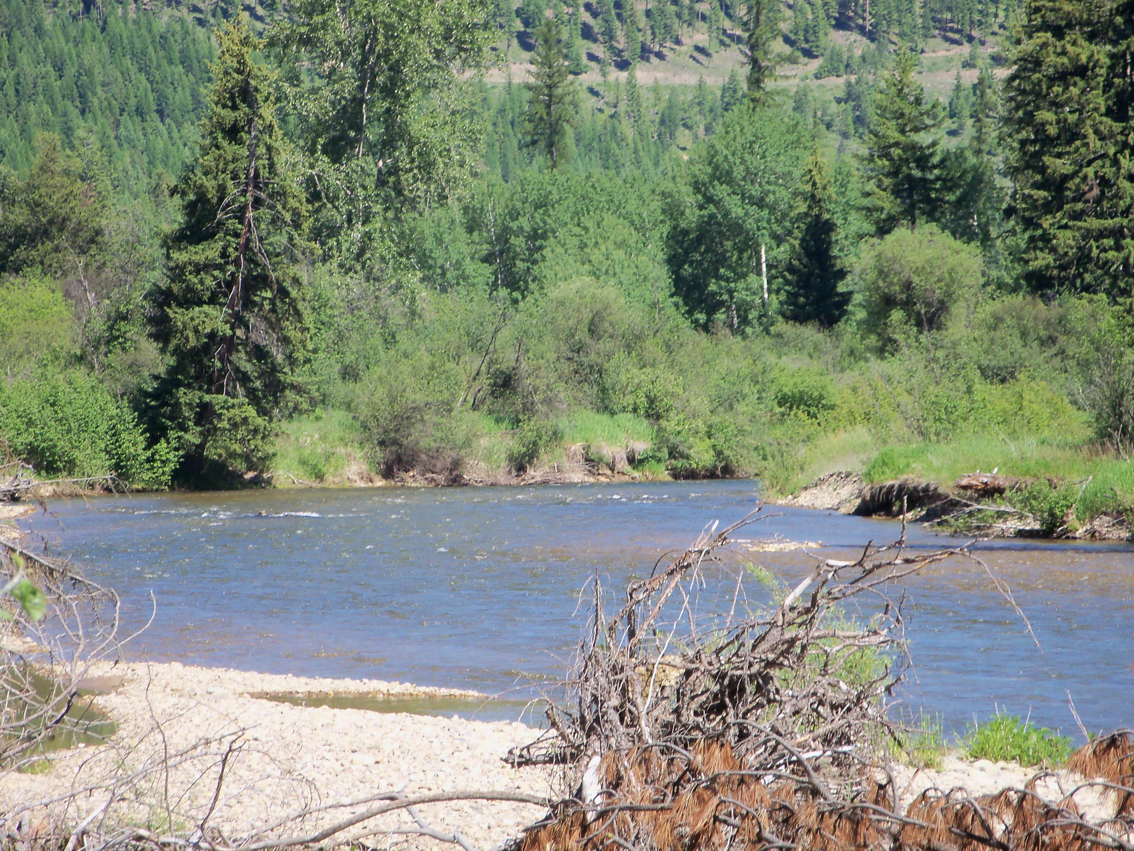 Camper-submitted photo at Lake Creek Campground near Heron, MT