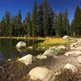 Review photo of Weaver Lake Trail Campsites by Wutang P., December 9, 2018