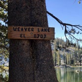 Review photo of Weaver Lake Trail Campsites by Wutang P., December 9, 2018