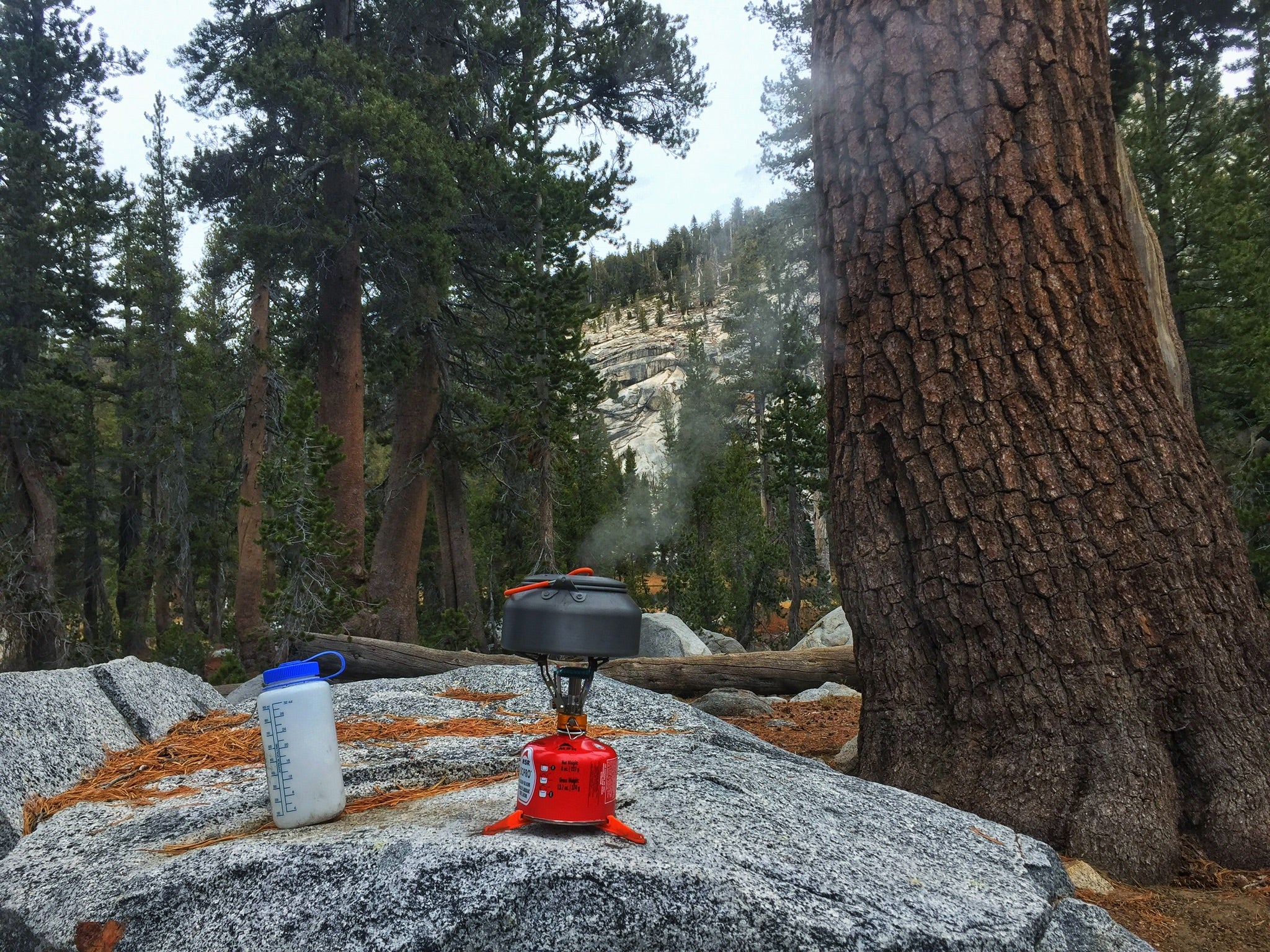 Camper submitted image from Twin Lakes Trail Campsites — Sequoia National Park - 2
