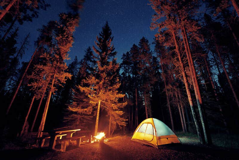 Camper submitted image from Sasquatch Farm - 1