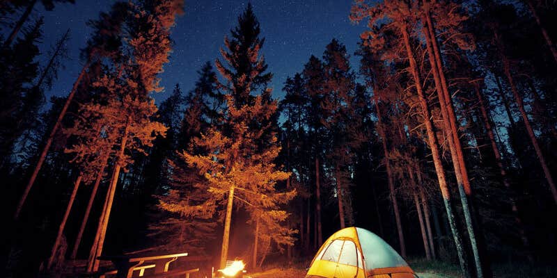 Camper submitted image from Sasquatch Farm