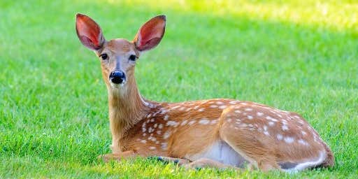 Camper submitted image from Thirsty Acres