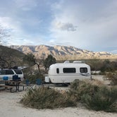 Review photo of Agua Caliente County Park Campground by Bill R., February 27, 2024