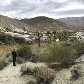 Review photo of Agua Caliente County Park Campground by Bill R., February 27, 2024