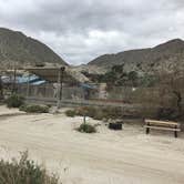 Review photo of Agua Caliente County Park Campground by Bill R., February 27, 2024