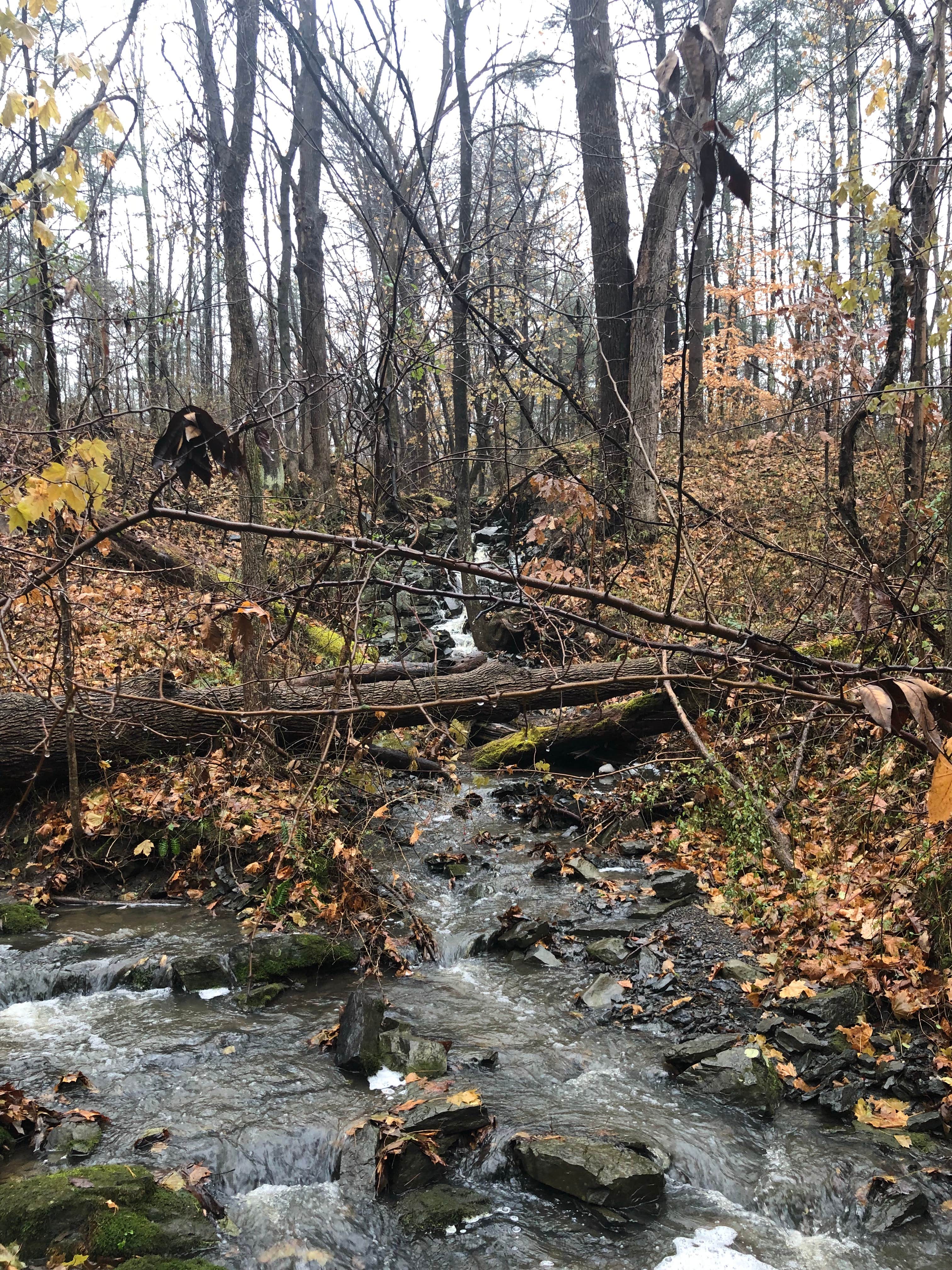 Camper submitted image from Nockamixon State Park Campground - 3