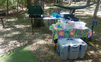 Nichole M.'s photo at Lake Barkley State Resort Park near Barkley Lake