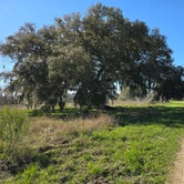 Review photo of Brazos Bend State Park Campground by Charles &., February 28, 2024