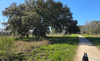 Charles &.'s photo of camping with pets at Brazos Bend State Park Campground near Bellaire, TX