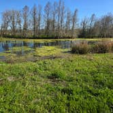 Review photo of Brazos Bend State Park Campground by Charles &., February 28, 2024