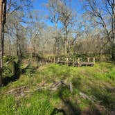 Review photo of Brazos Bend State Park Campground by Charles &., February 28, 2024