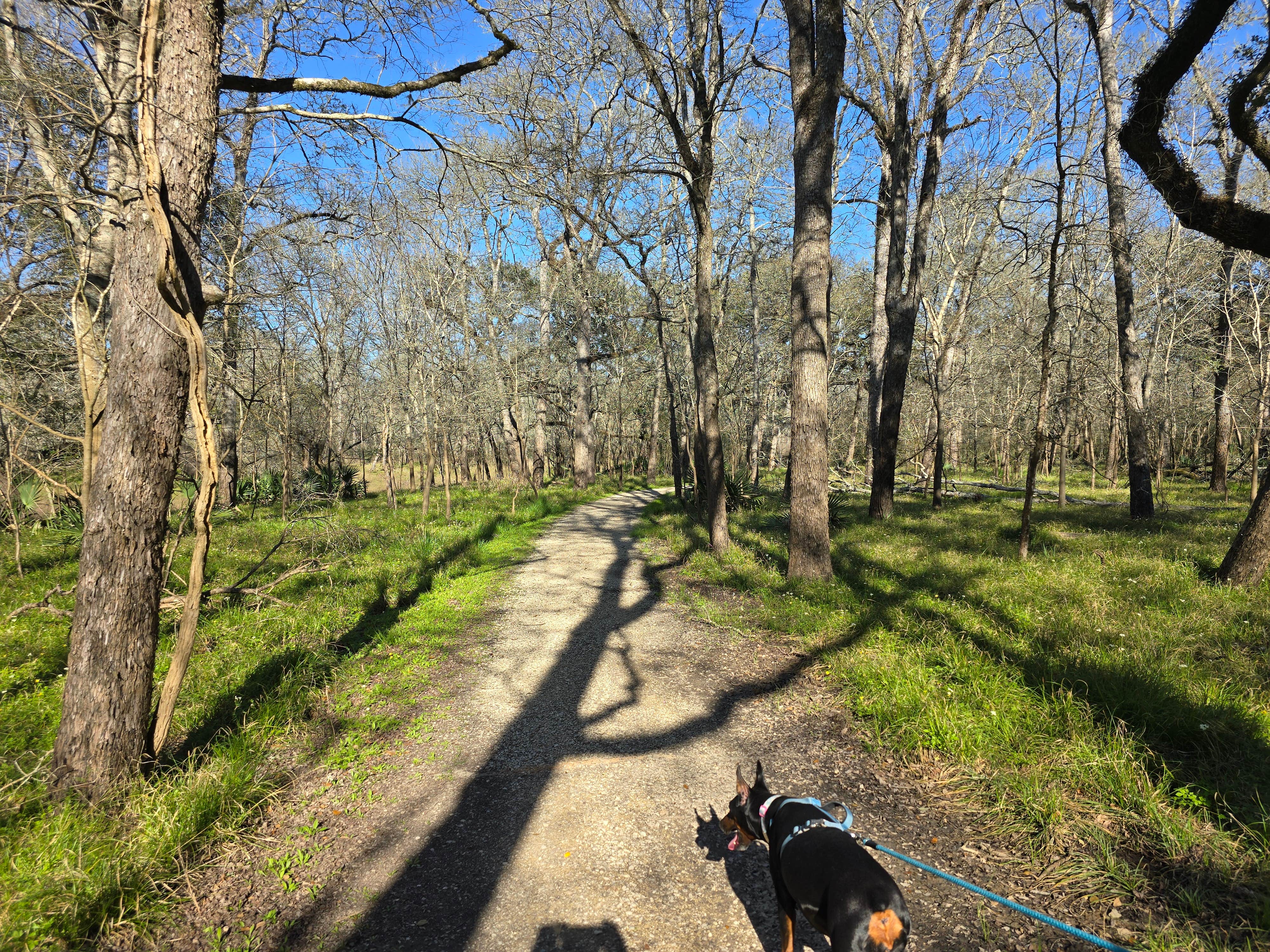 Charles &.'s photo of camping with pets at Brazos Bend State Park Campground near Houston, TX
