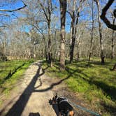 Review photo of Brazos Bend State Park Campground by Charles &., February 28, 2024