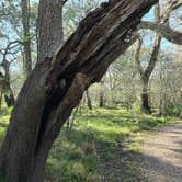 Review photo of Brazos Bend State Park Campground by Charles &., February 28, 2024