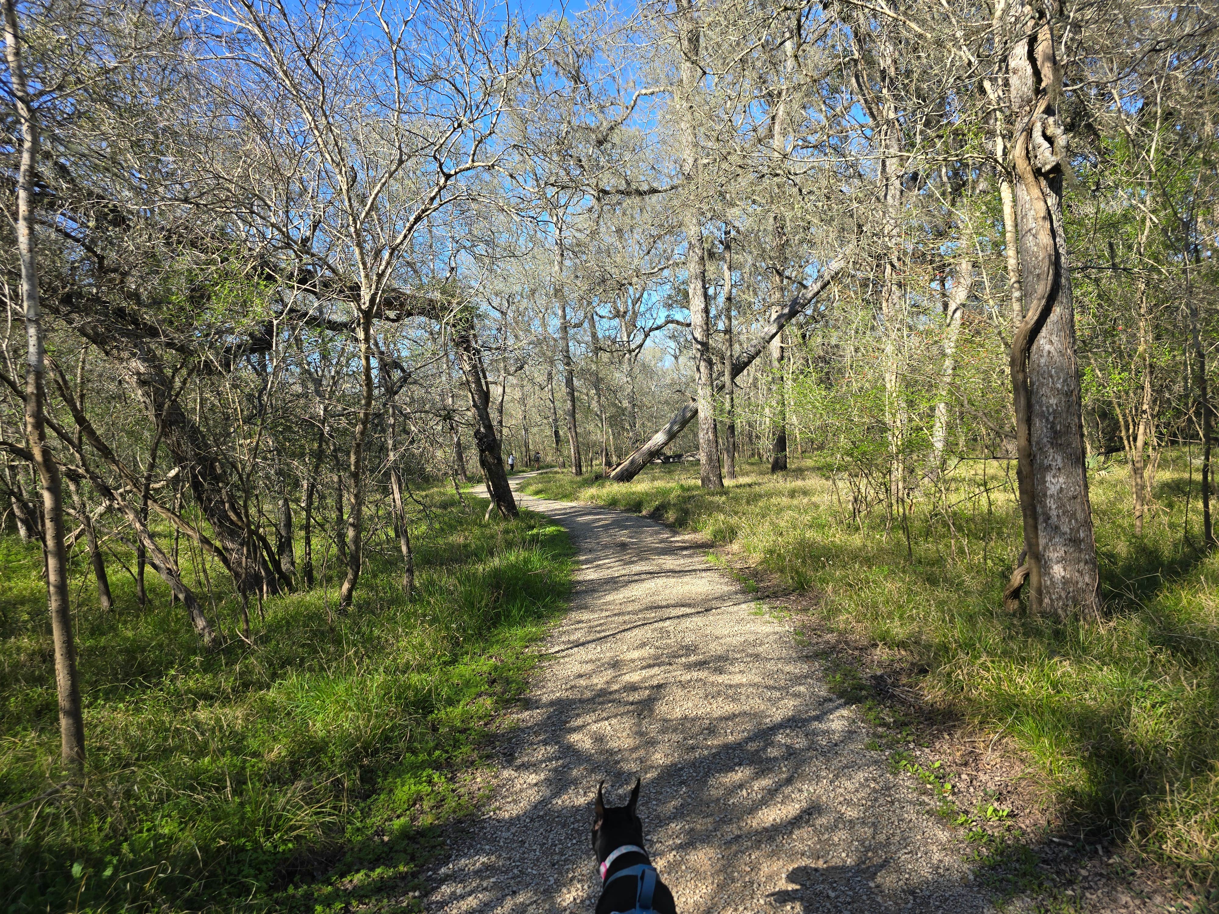 Charles &.'s photo of camping with pets at Brazos Bend State Park Campground near West Columbia, TX