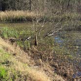 Review photo of Brazos Bend State Park Campground by Charles &., February 28, 2024