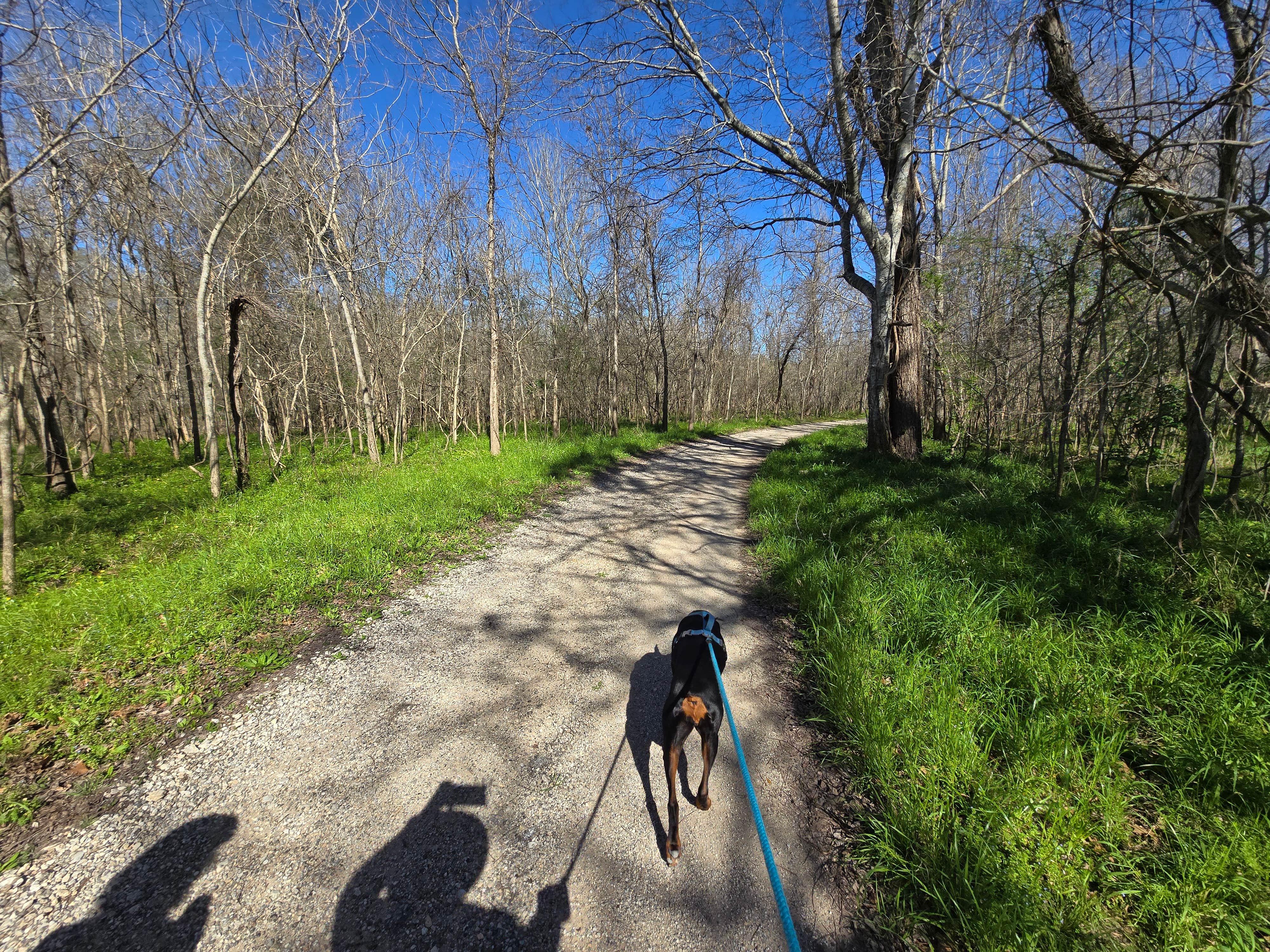 Charles &.'s photo of camping with pets at Brazos Bend State Park Campground near Katy, TX