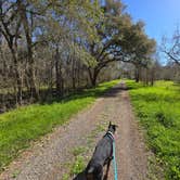 Review photo of Brazos Bend State Park Campground by Charles &., February 28, 2024