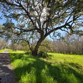 Review photo of Brazos Bend State Park Campground by Charles &., February 28, 2024