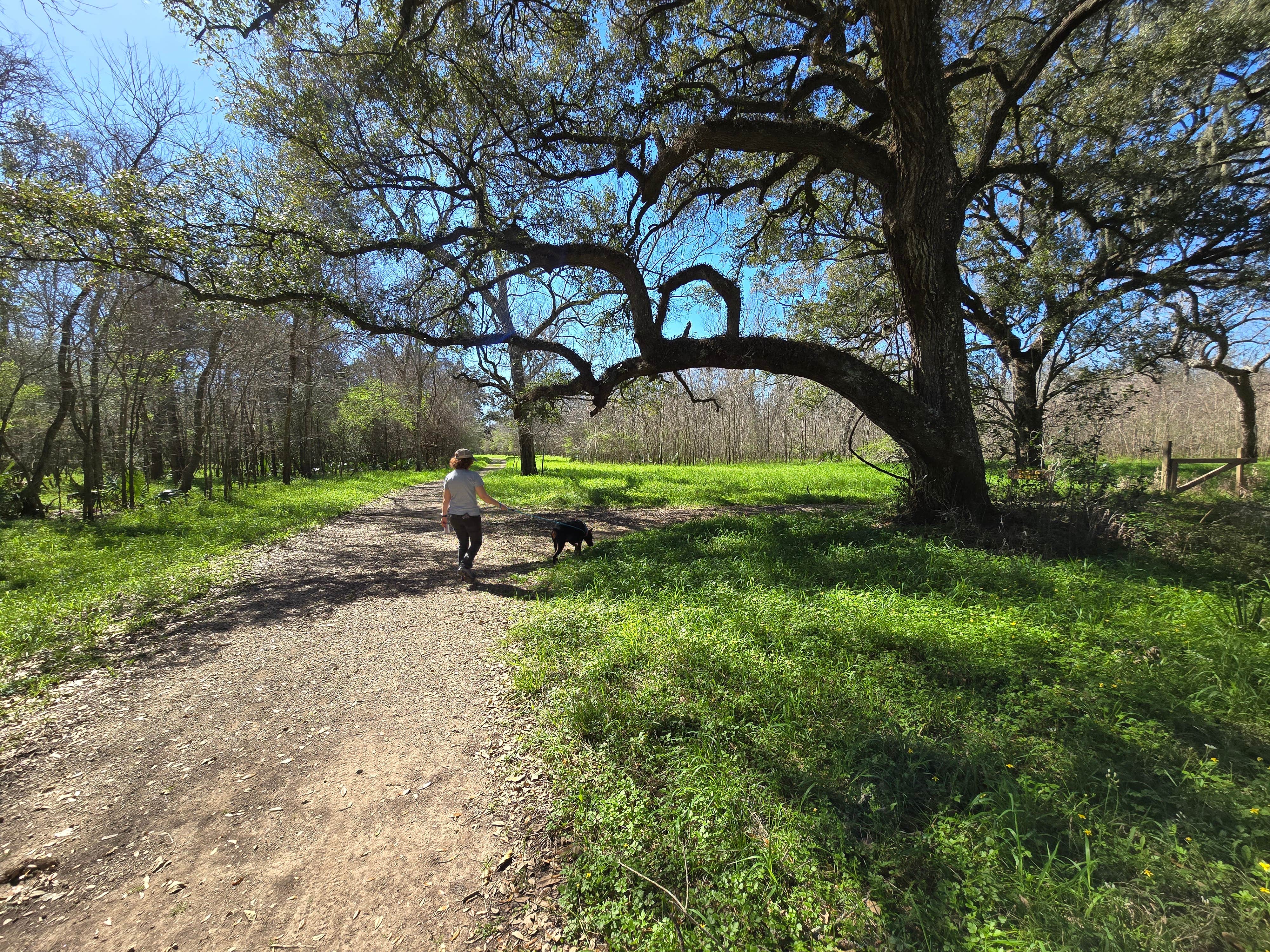 Charles &.'s photo of camping with pets at Brazos Bend State Park Campground near Houston, TX