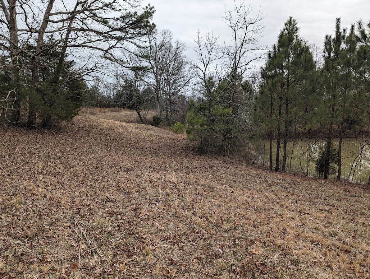 Camper-submitted photo at AdventAge Retreat near Natural Bridge, AL