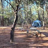 Review photo of Houston Mesa Campground by Brad | Britany B., February 29, 2024