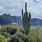 Review photo of Lost Dutchman State Park Campground by Brad | Britany B., February 29, 2024