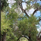 Review photo of Verde Ranch RV Resort by Brad | Britany B., February 29, 2024