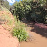 Review photo of Verde Ranch RV Resort by Brad | Britany B., February 29, 2024