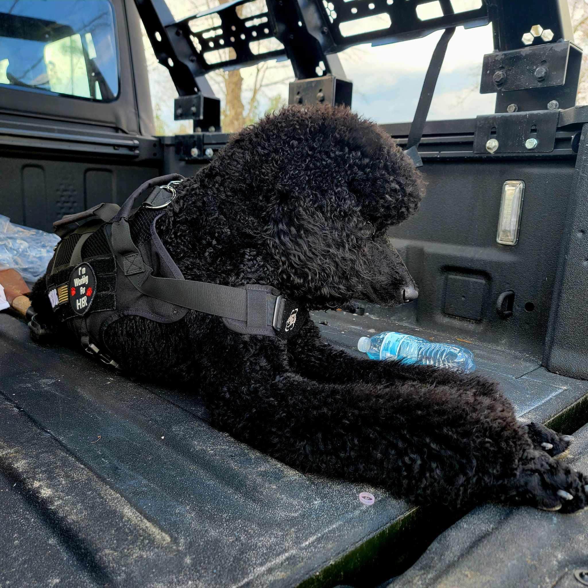 Camper-submitted photo at DirtCamp near Nicholls, GA