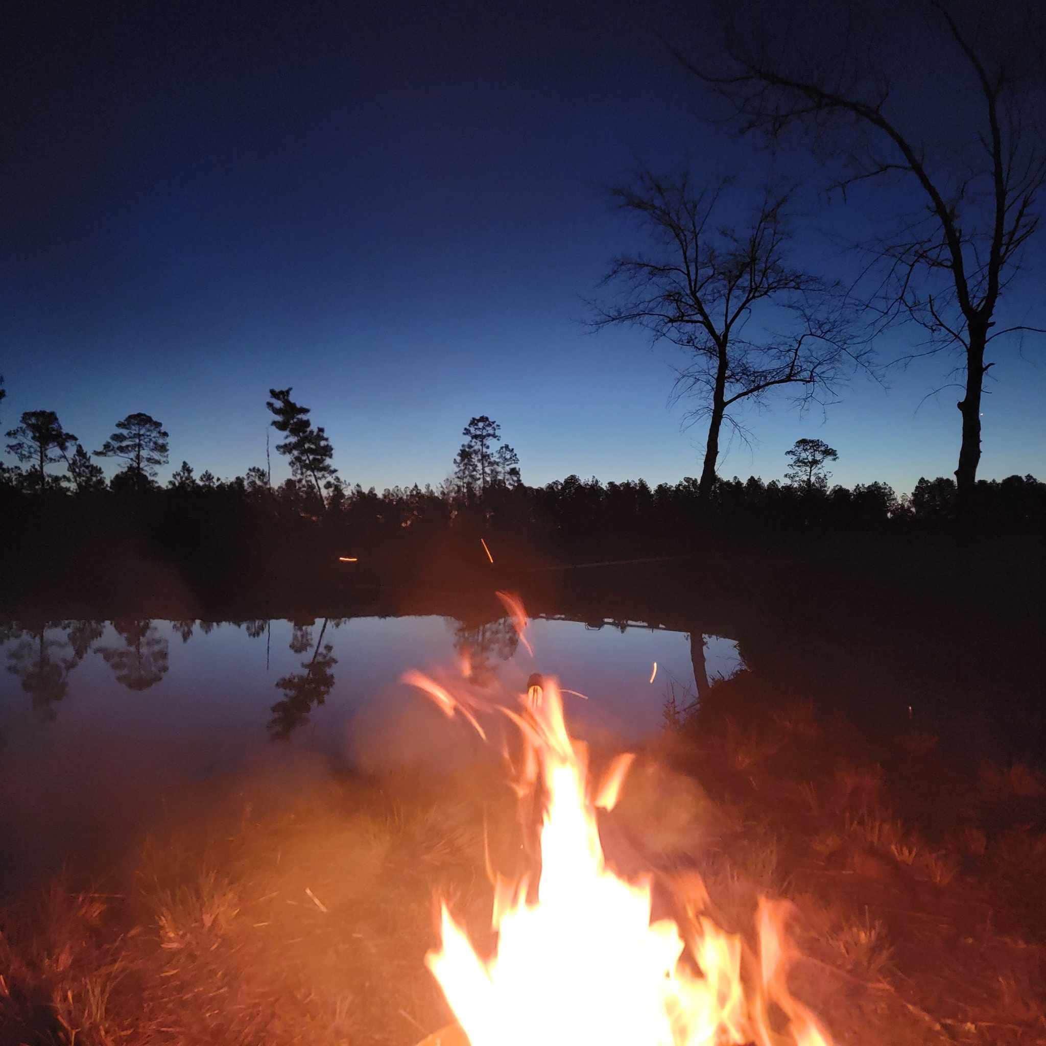 Camper-submitted photo at DirtCamp near Nicholls, GA