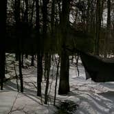 Review photo of Stratton Pond Shelter by Miccal  M., March 1, 2024