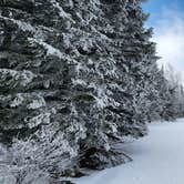 Review photo of Stratton Pond Shelter by Miccal  M., March 1, 2024