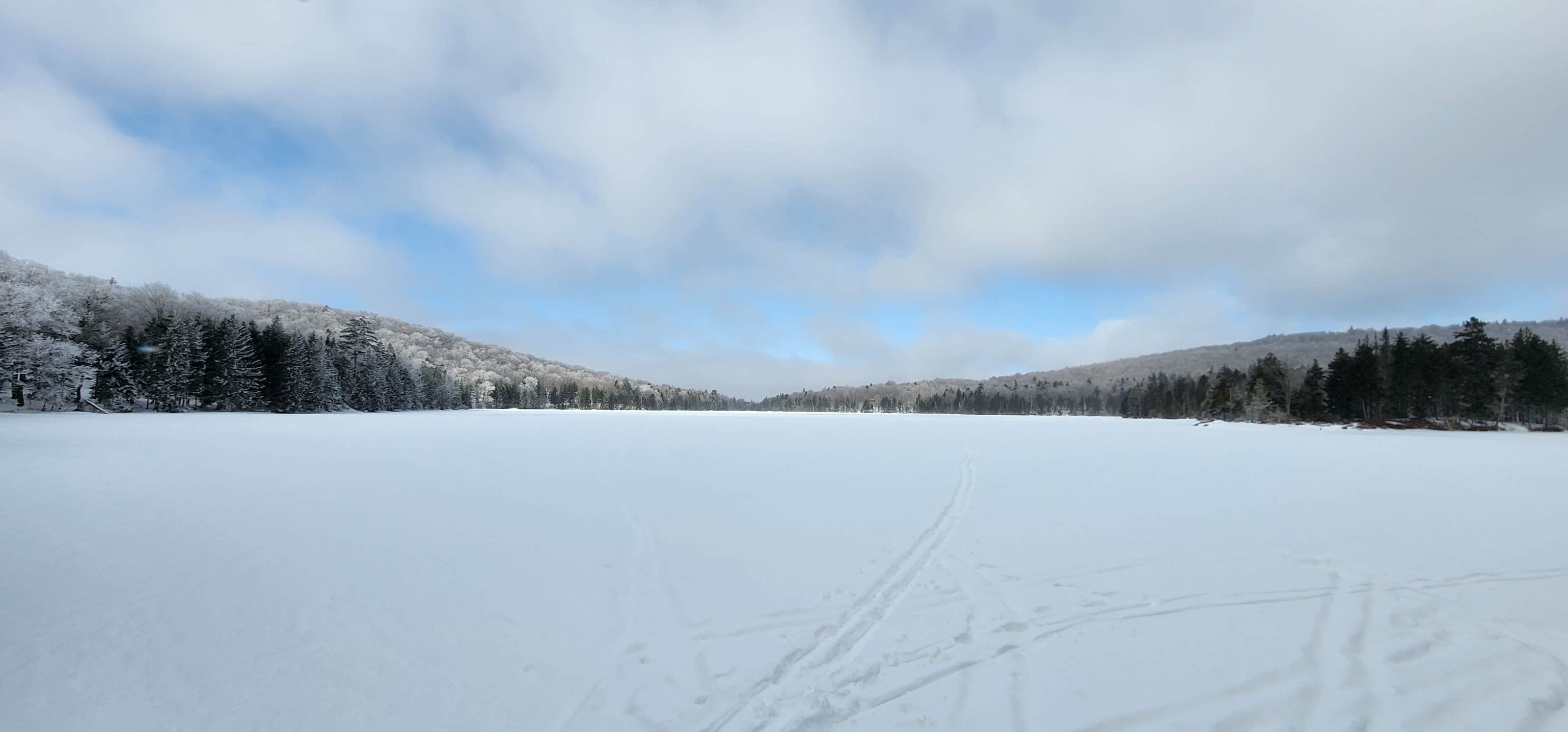 Miccal  M.'s photo of a dispersed camping area at Stratton Pond Shelter near Whately, MA