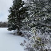 Review photo of Stratton Pond Shelter by Miccal  M., March 1, 2024