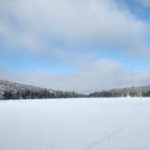 Review photo of Stratton Pond Shelter by Miccal  M., March 1, 2024