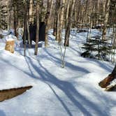 Review photo of Stratton Pond Shelter by Miccal  M., March 1, 2024