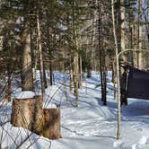 Review photo of Stratton Pond Shelter by Miccal  M., March 1, 2024