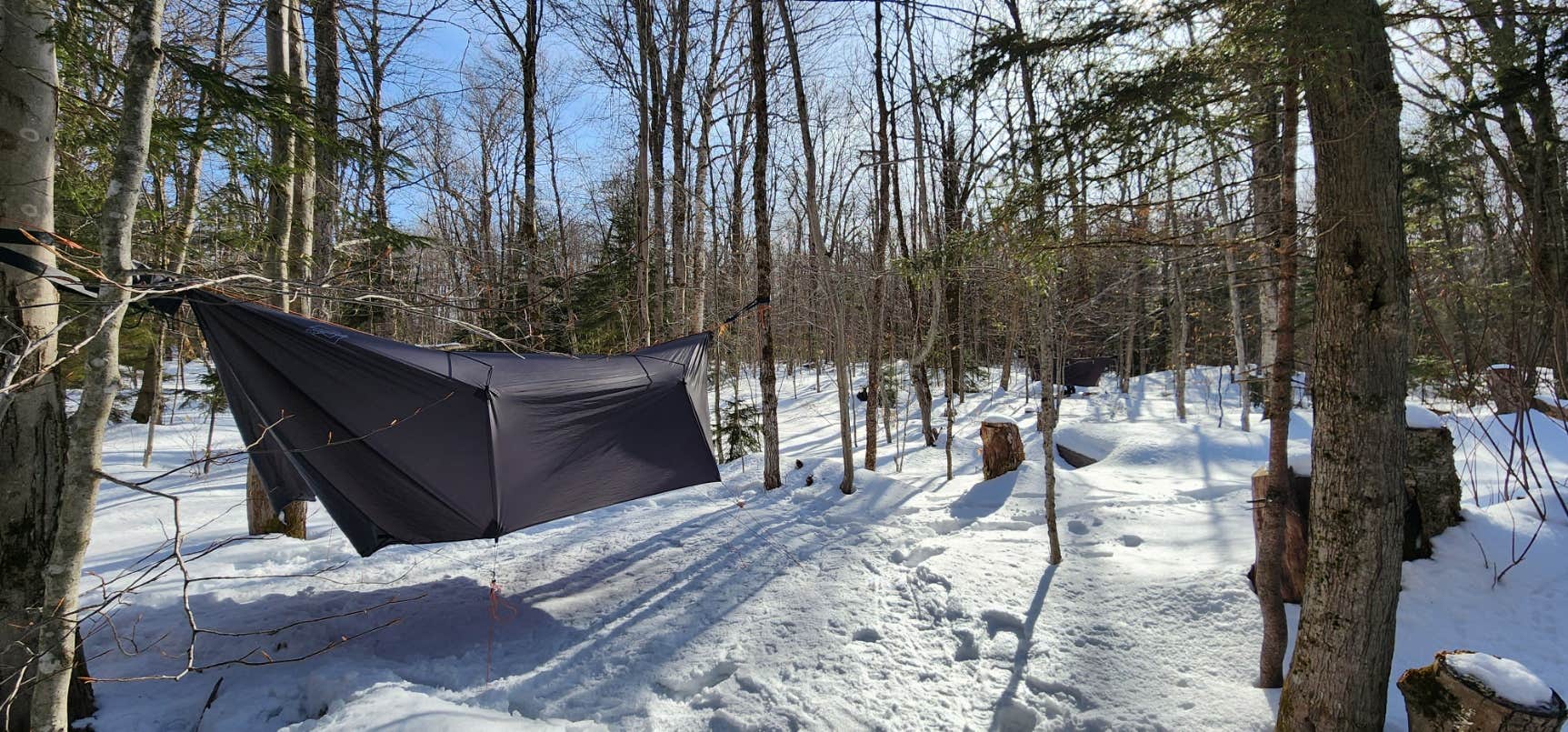Camper-submitted photo at Stratton Pond Shelter near Bennington, VT