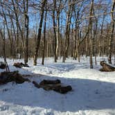 Review photo of Stratton Pond Shelter by Miccal  M., March 1, 2024