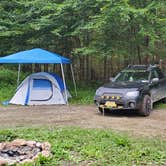 Review photo of Road's End Dispersed Camp by Miccal  M., March 1, 2024