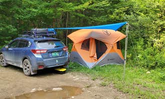 Camping near Hapgood Pond: Road's End Dispersed Camp, Belmont, Vermont