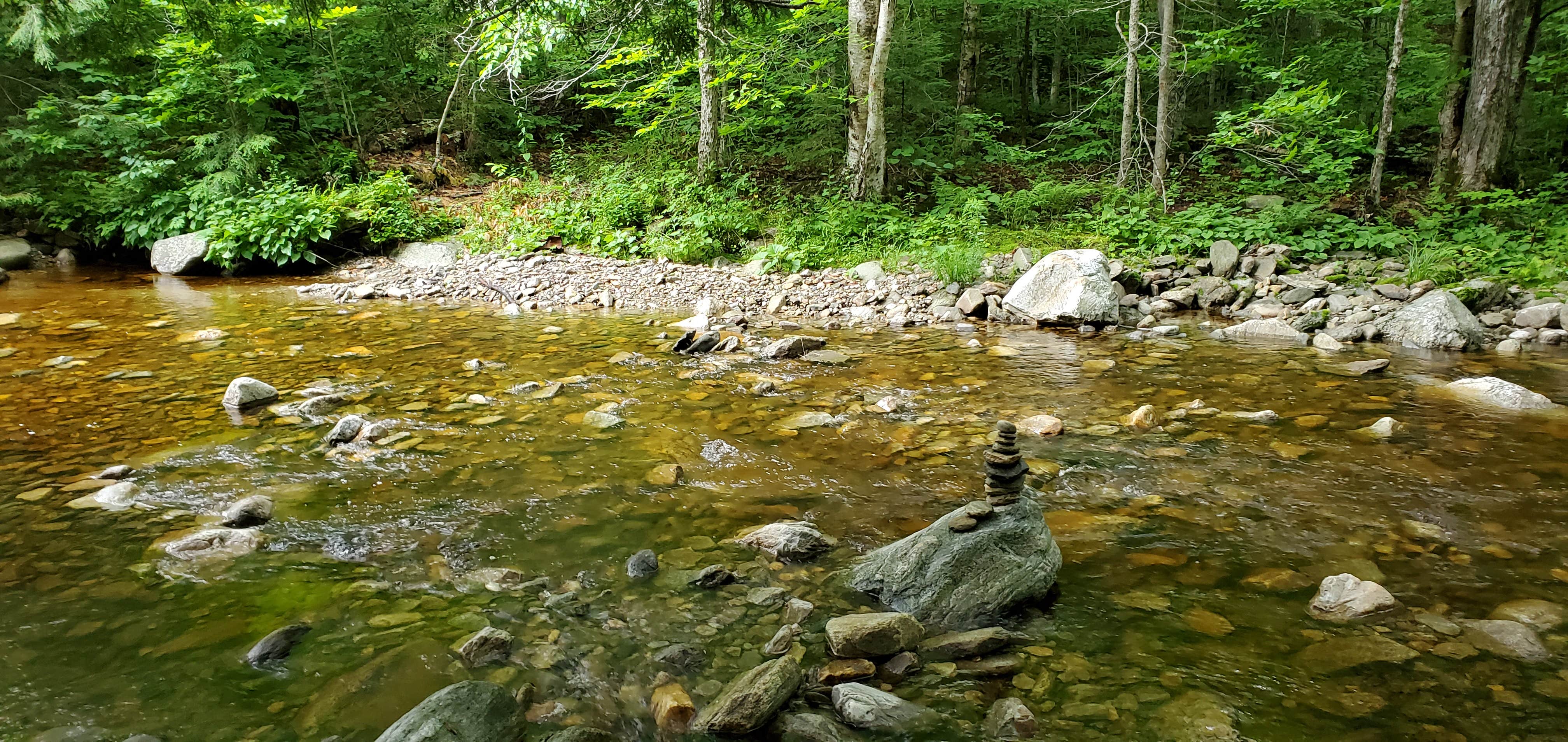 Camper submitted image from Downed Bridge Camp - 2