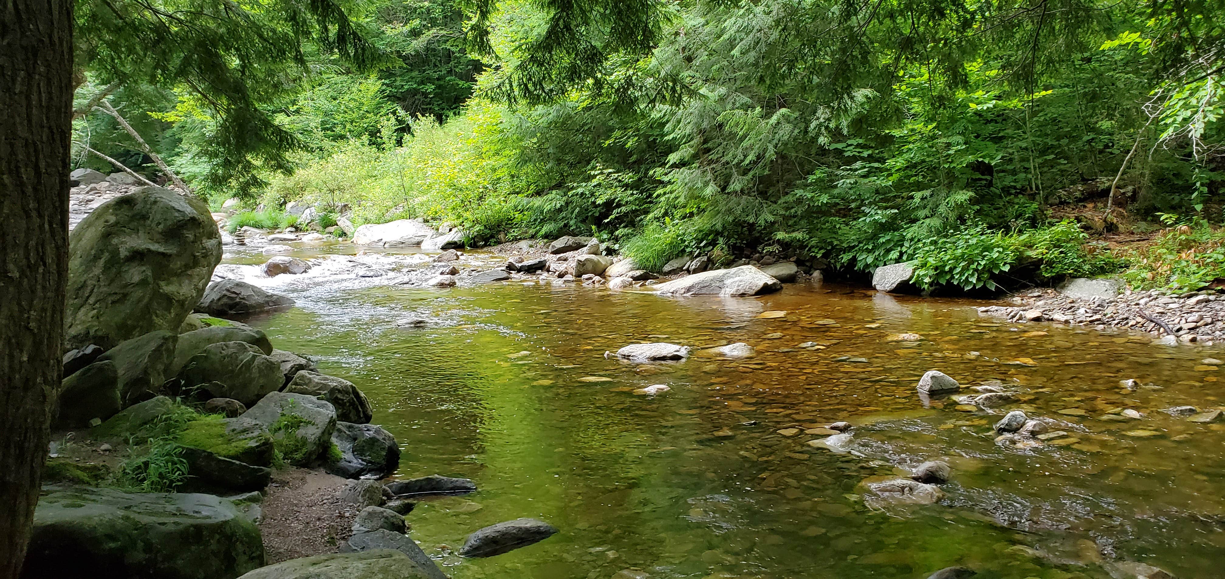 Camper-submitted photo at Downed Bridge Camp near Queensbury, NY