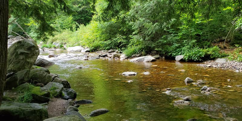 Camper submitted image from Downed Bridge Camp
