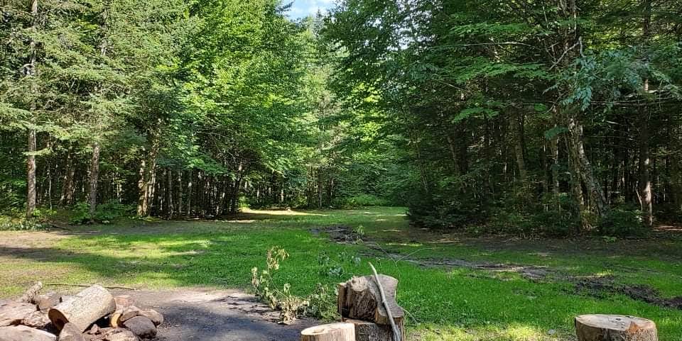 Camper submitted image from On the Hill Dispersed Camp - 4