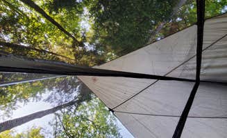 Miccal  M.'s photo of a dispersed camping area at On the Hill Dispersed Camp near Putnam Station, NY